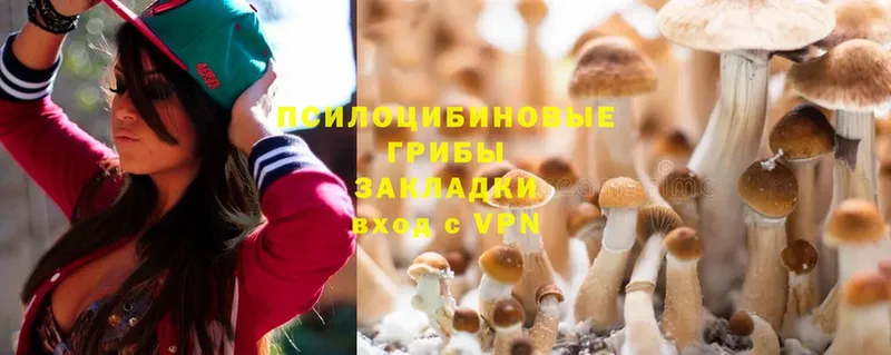 Псилоцибиновые грибы MAGIC MUSHROOMS  где можно купить   Куртамыш 